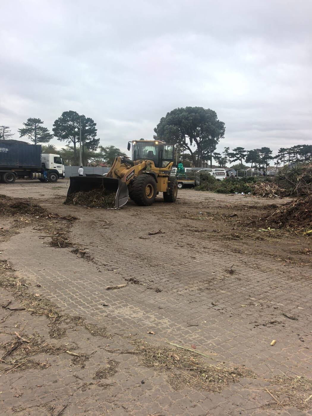 Front-end loader clearing green waste at drop-off facility